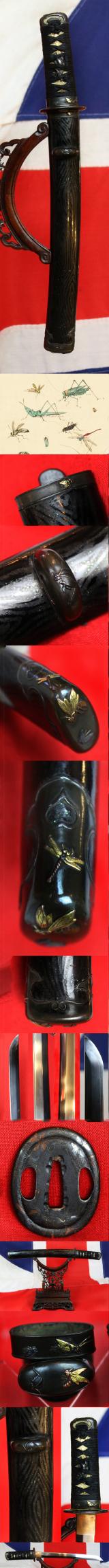 A Simply Wonderful Edo Period Samurai Tanto Museum Quality  Art-Sword Decorated To The Highest Artistic Standard With Insects, in Carving, Iroe, Taka-zōgan, Zōgan, and Tsuba Inlaid with Hira Zogan with the Imperial Mon of Kiri, Paulownia Leaves