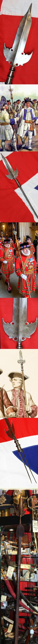 A Very Fine 17th Century Spontoon. Central  Double Edge Blade With Side Wings. Used For Over 140 Years in Military  Service Including From the English Stuart to Early Hanoverian Reigns, The  French-Indian War & Revolutionary War In The Americas