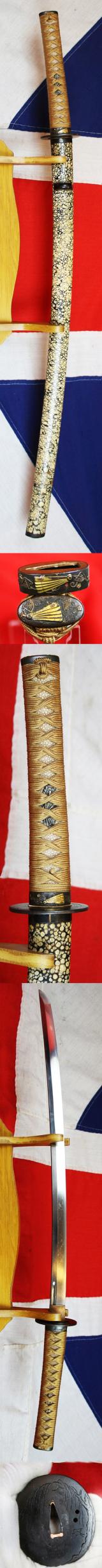 A Beautiful 15th Century Chisa Katana Sword, Around 600 Years Old, Signed Nobukuni. From The Japanese Warring States Period. Gold Fan & Shakudo Fuchigashira and A Outstandingly Attractive Kuro Samegawa Togidashi Saya.